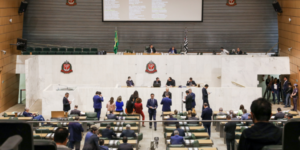 projeto de lei fabiana bolsonaro