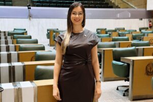 deputada fabiana
