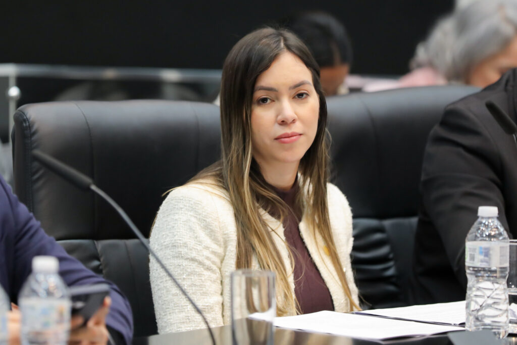 fabiana bolsonaro